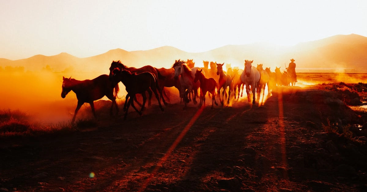 Традиционные символы Дикого Запада в современной культуре